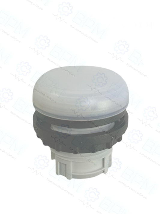 Indicador luminoso blanco M22-L-W